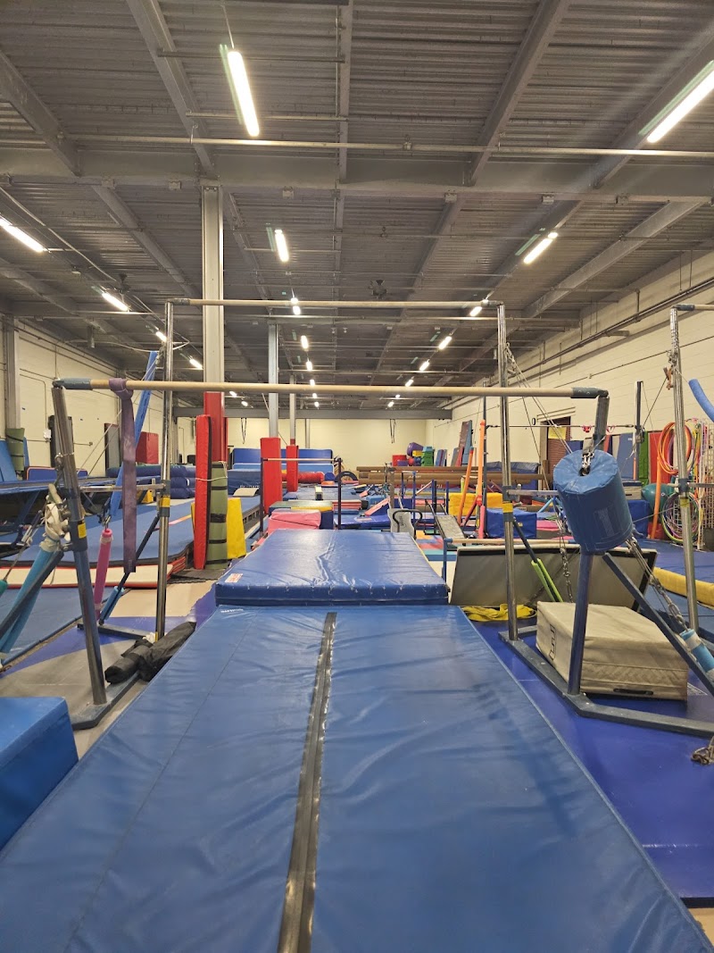 Scorpions Gymnastics Academy photo 2