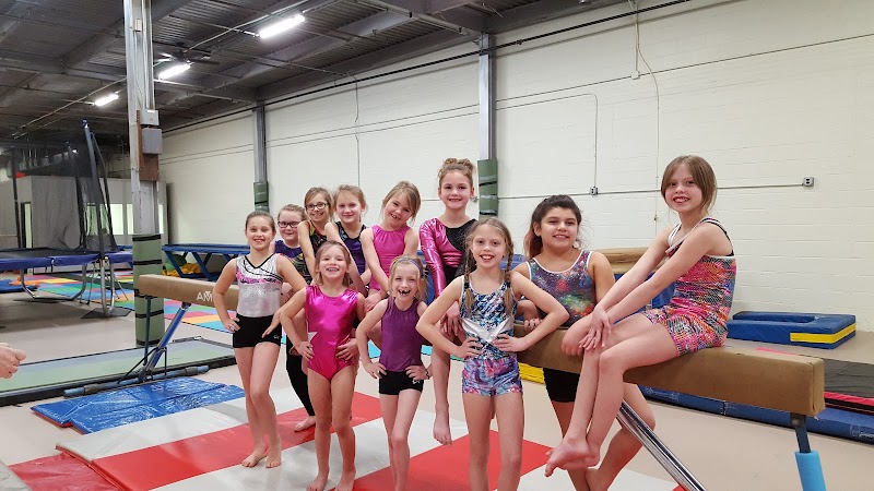 Scorpions Gymnastics Academy photo 3