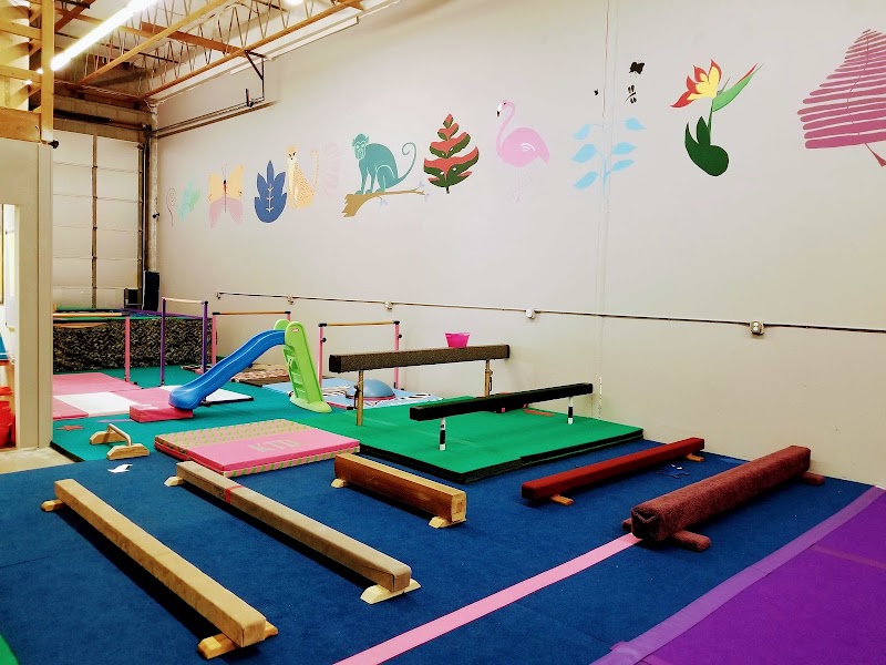 FlightSchool Gymnatics Center photo 3