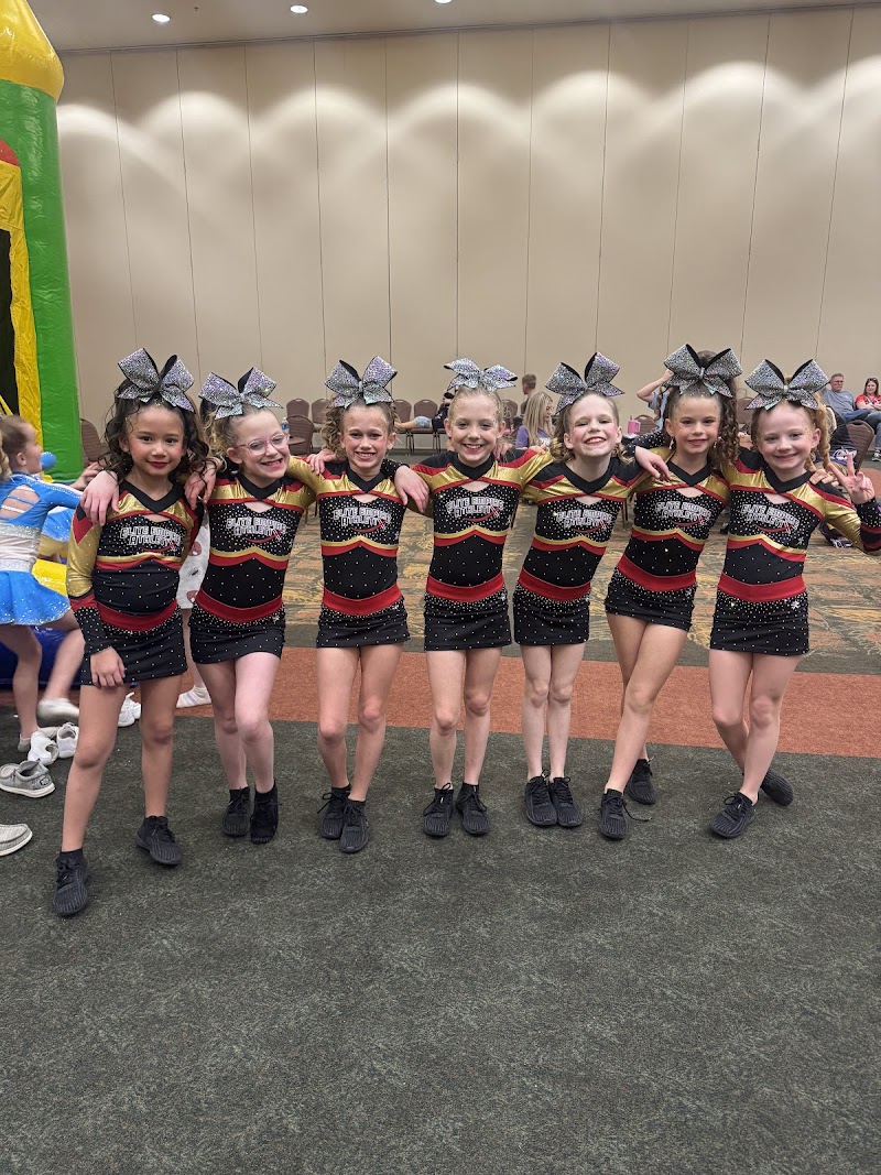 Lake Norman Gymnastics Academy, LLC photo 2
