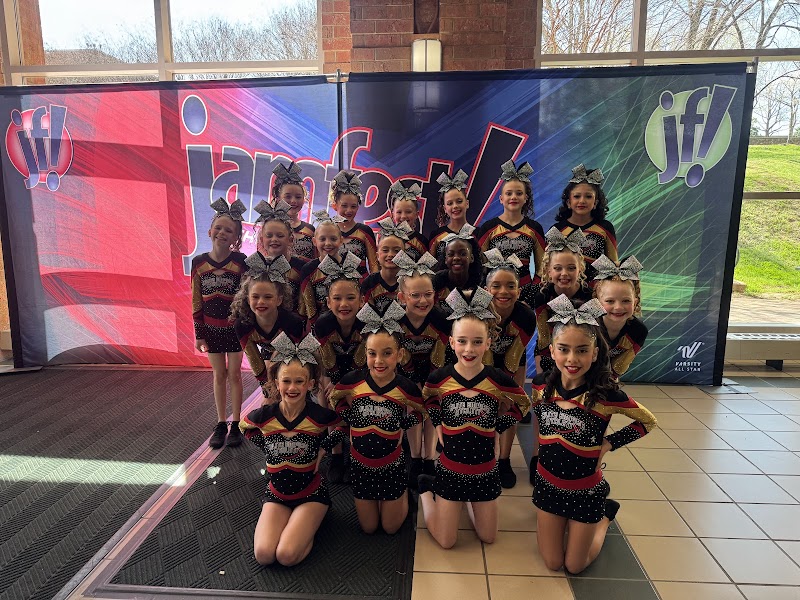Lake Norman Gymnastics Academy, LLC photo 3