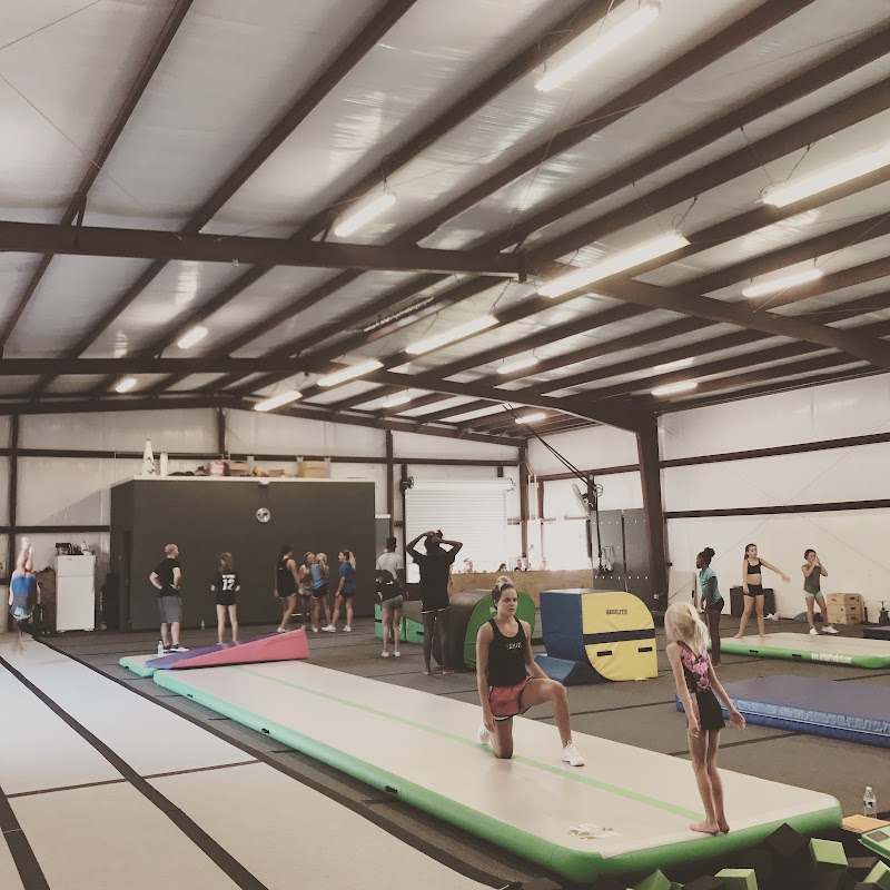 Stunt and Tumble photo 2