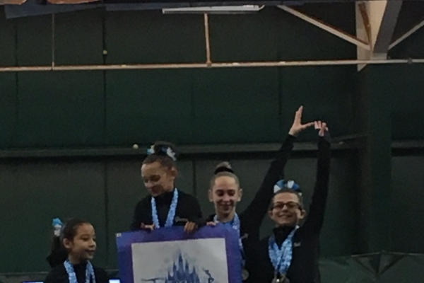 Gymnastics Inc. photo 2