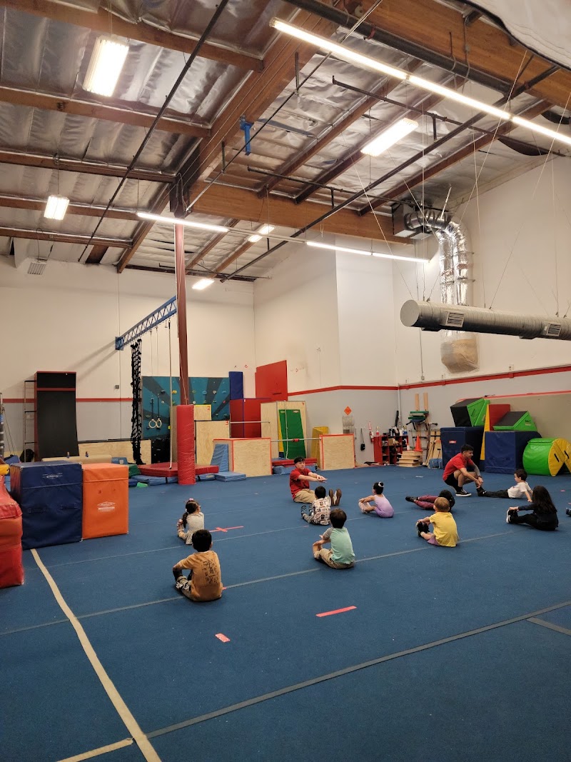 Precision Gymnastics photo 2
