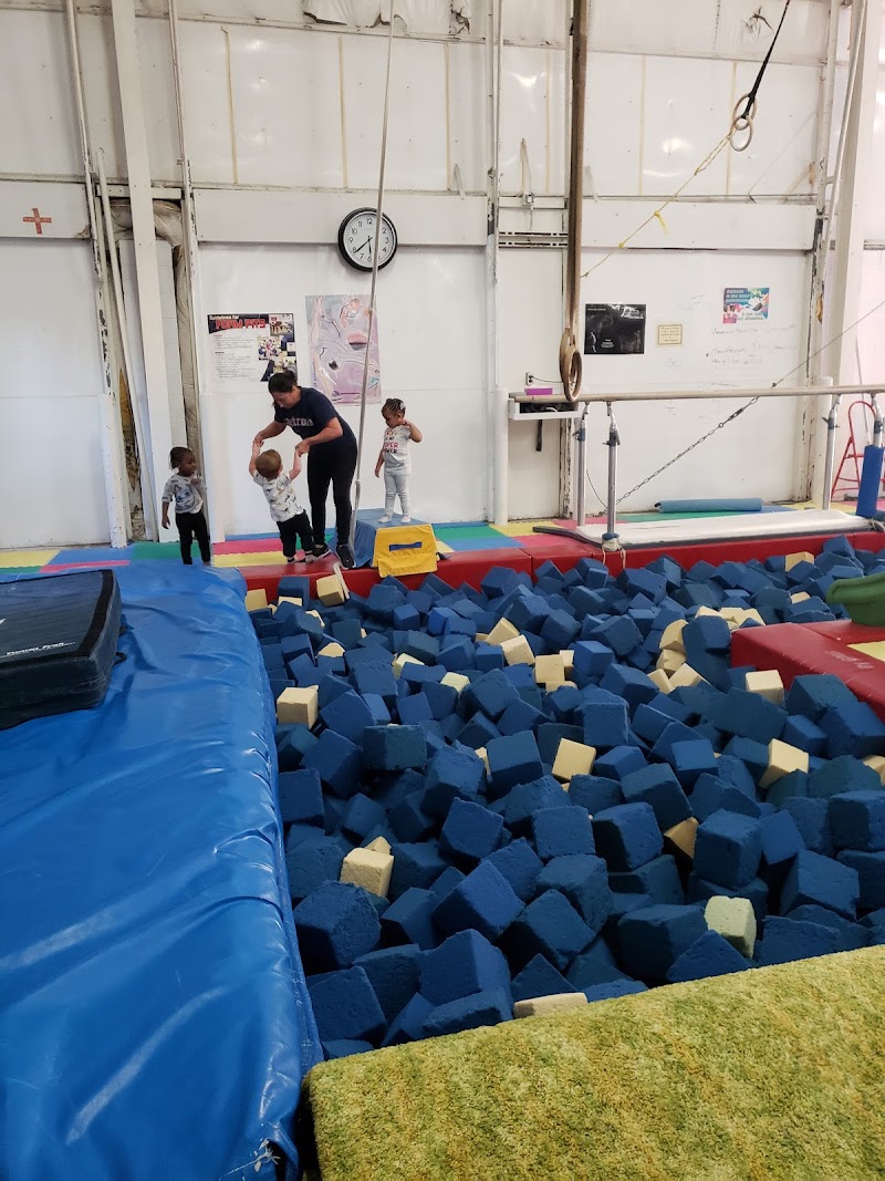 Gym-Jester Gymnastics Inc.