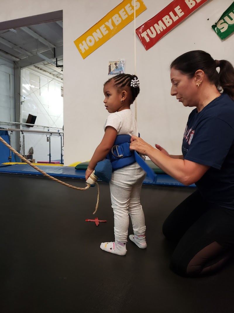 Gym-Jester Gymnastics Inc. photo 2