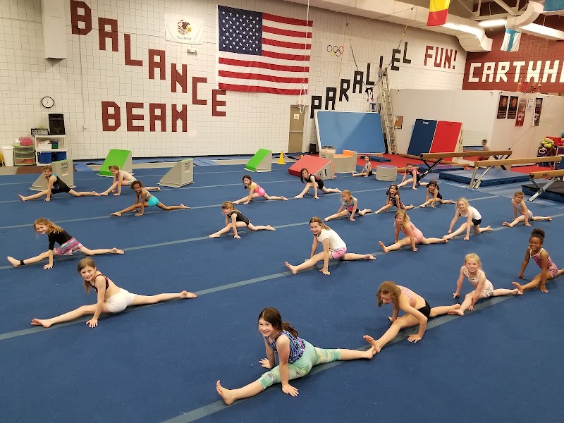 Saluki Gymnastics photo 2