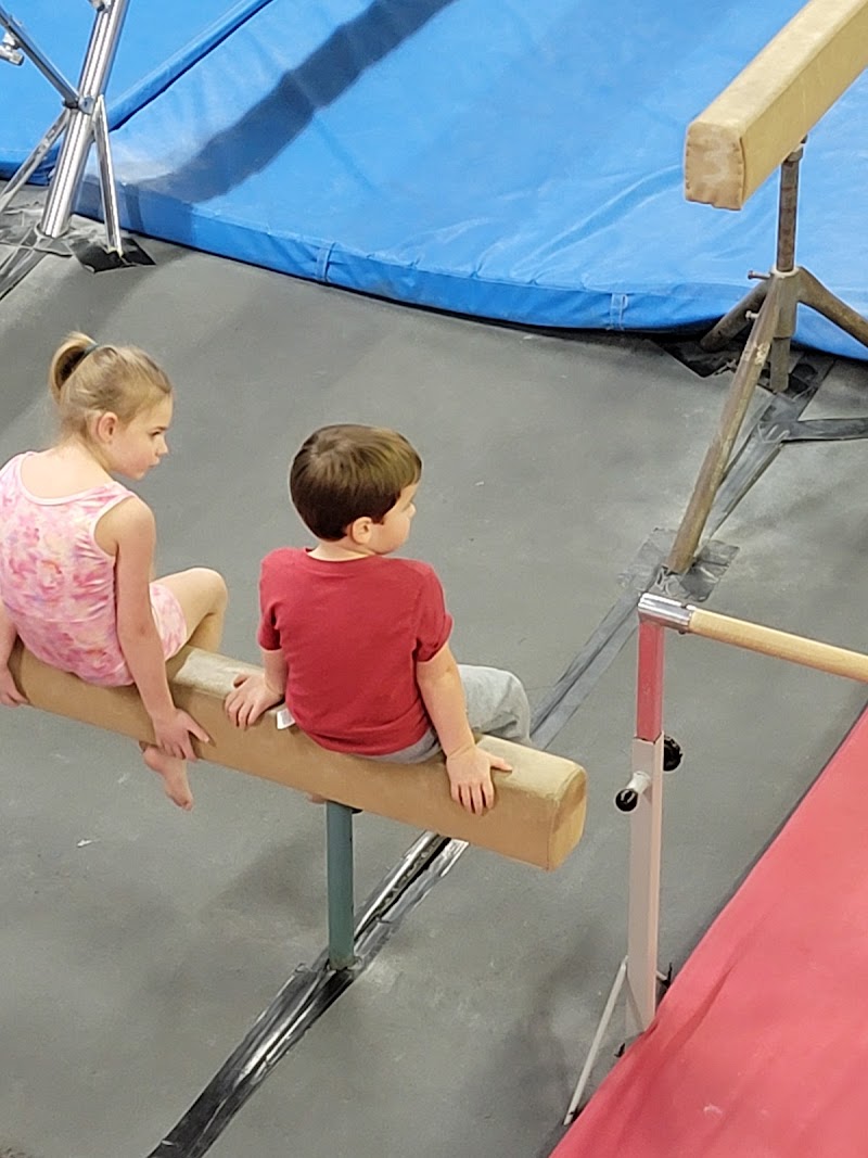 Gymnastics In Motion photo 2
