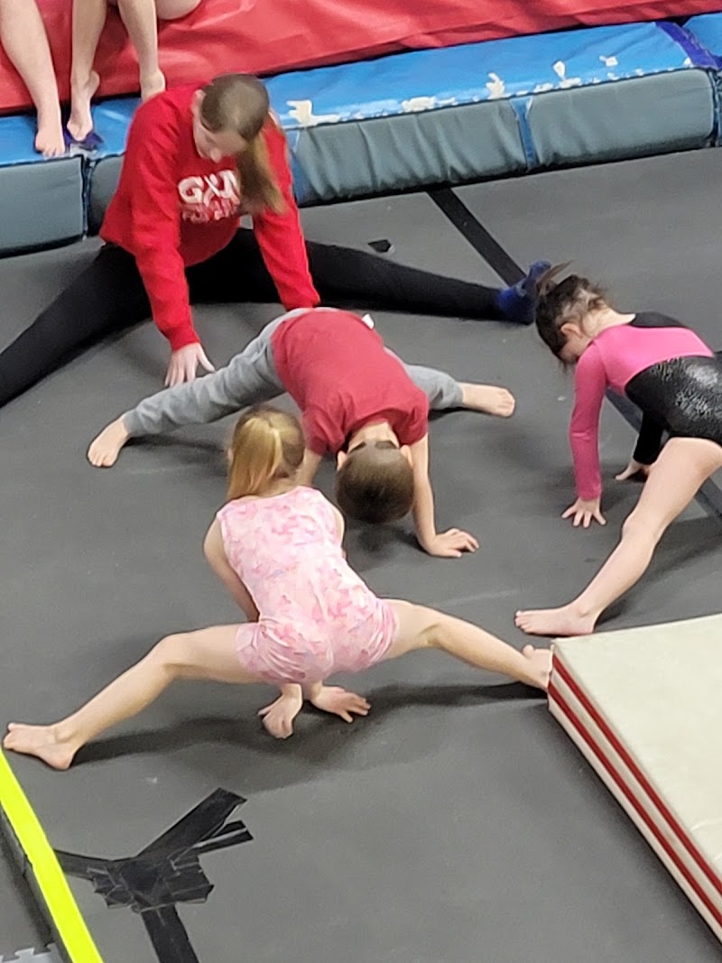 Gymnastics In Motion photo 3
