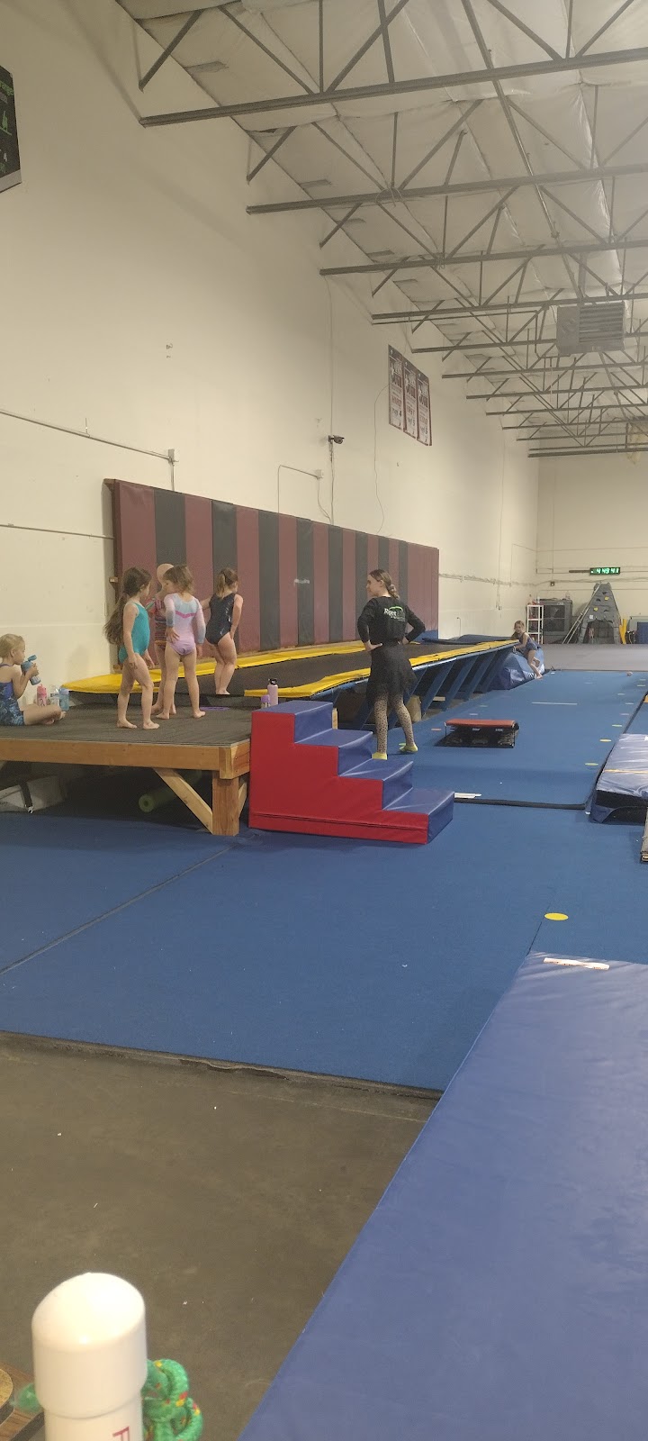 Rigert Elite Gymnastics photo 3