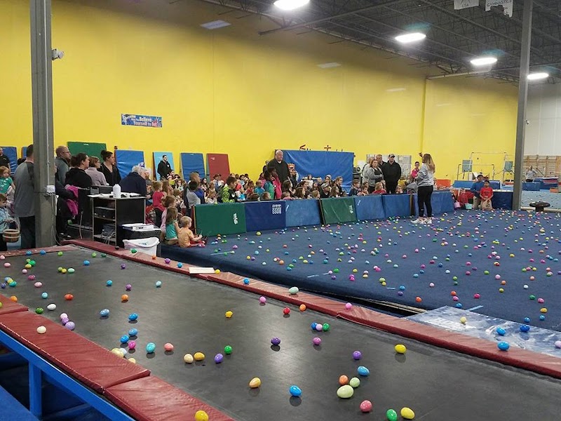 Flip n Twist Gymnastics and Cheer LLC photo 2