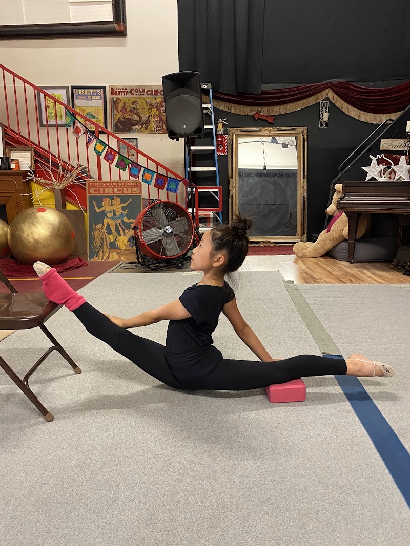 ACE Gymnastics Daytona photo 2