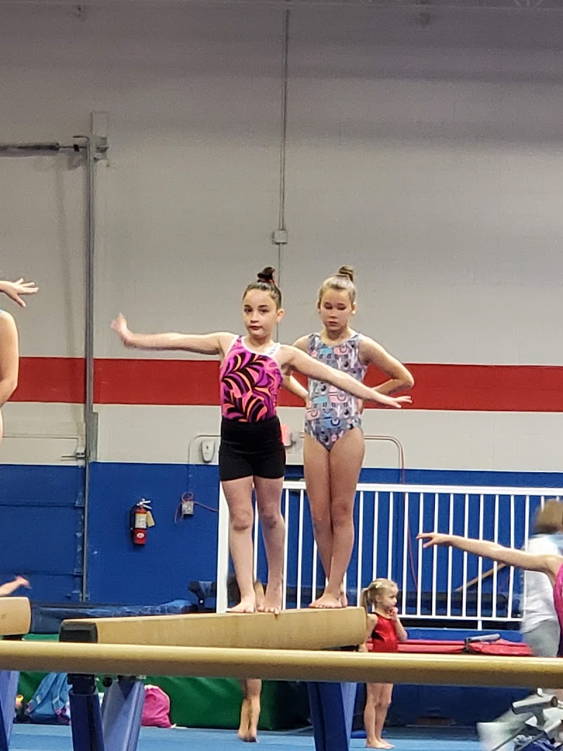 Flips Gymnastics LLC photo 2