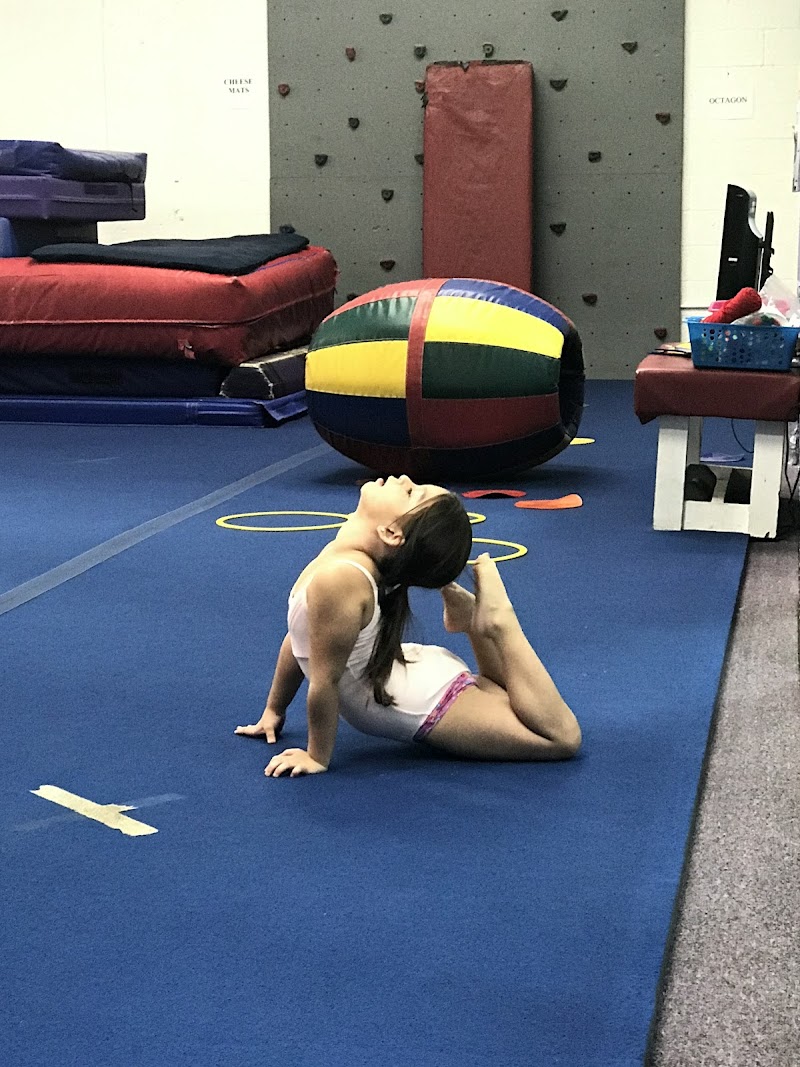 Genie's Gymnastics photo 3