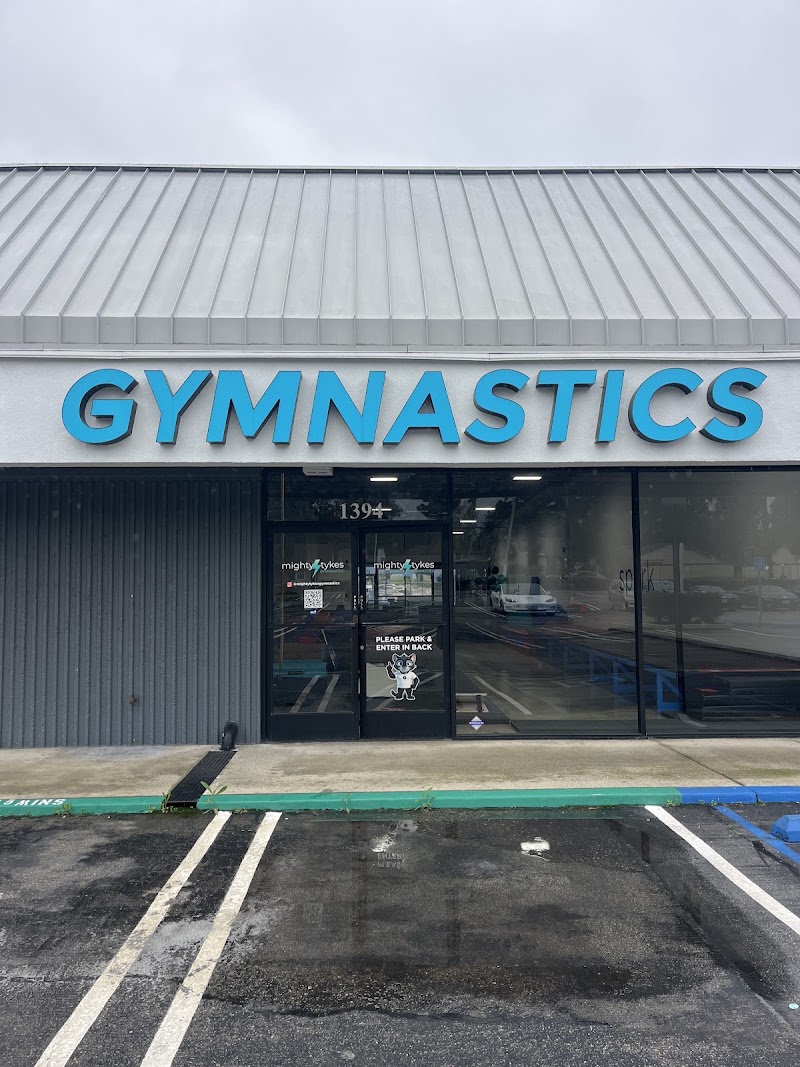 Mighty Tykes Gymnastics photo 2