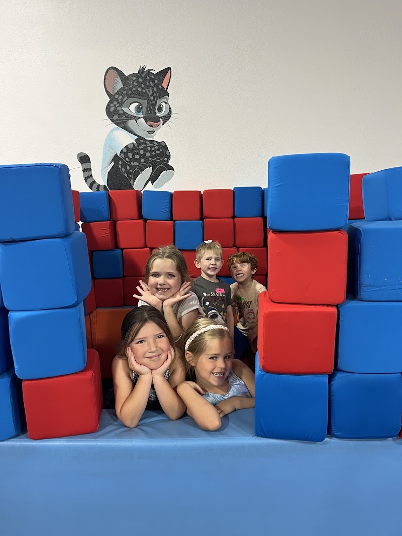 Mighty Tykes Gymnastics photo 3