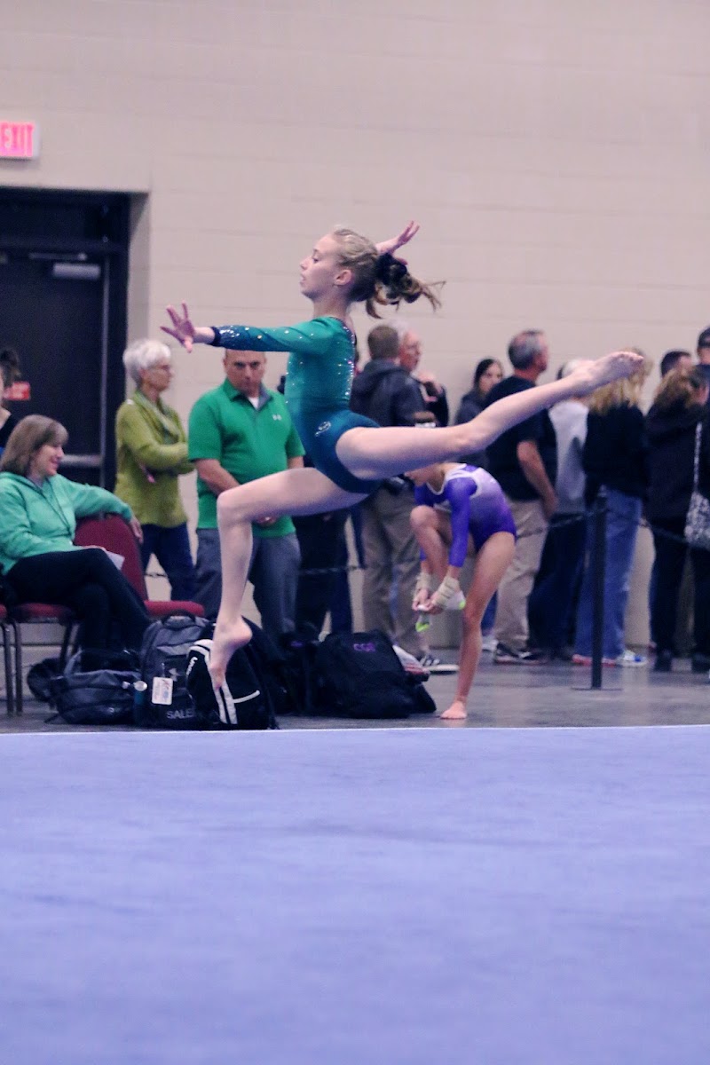 WAKE Gymnastics Inc