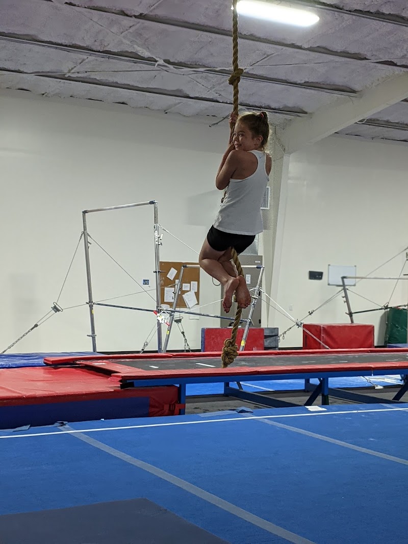 Southeastern Elite Gymnastics photo 2
