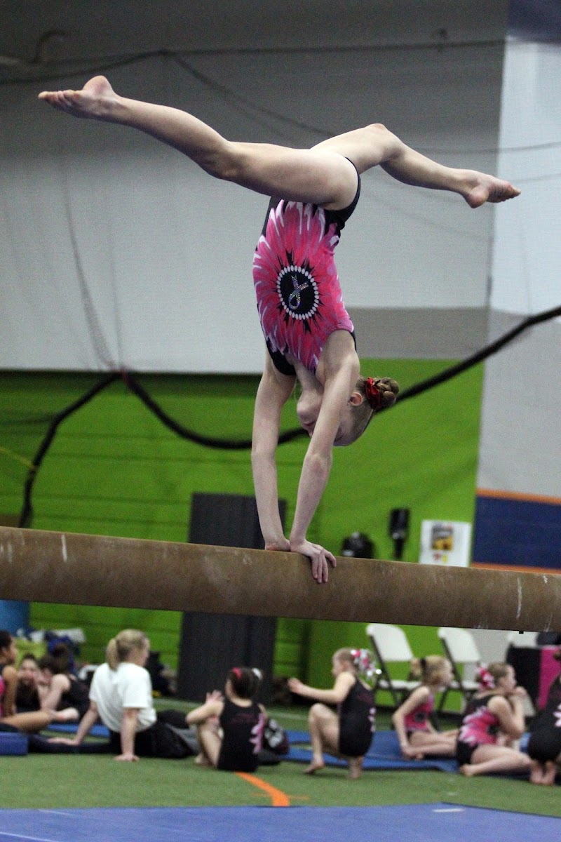 All American Gymnastics photo 2