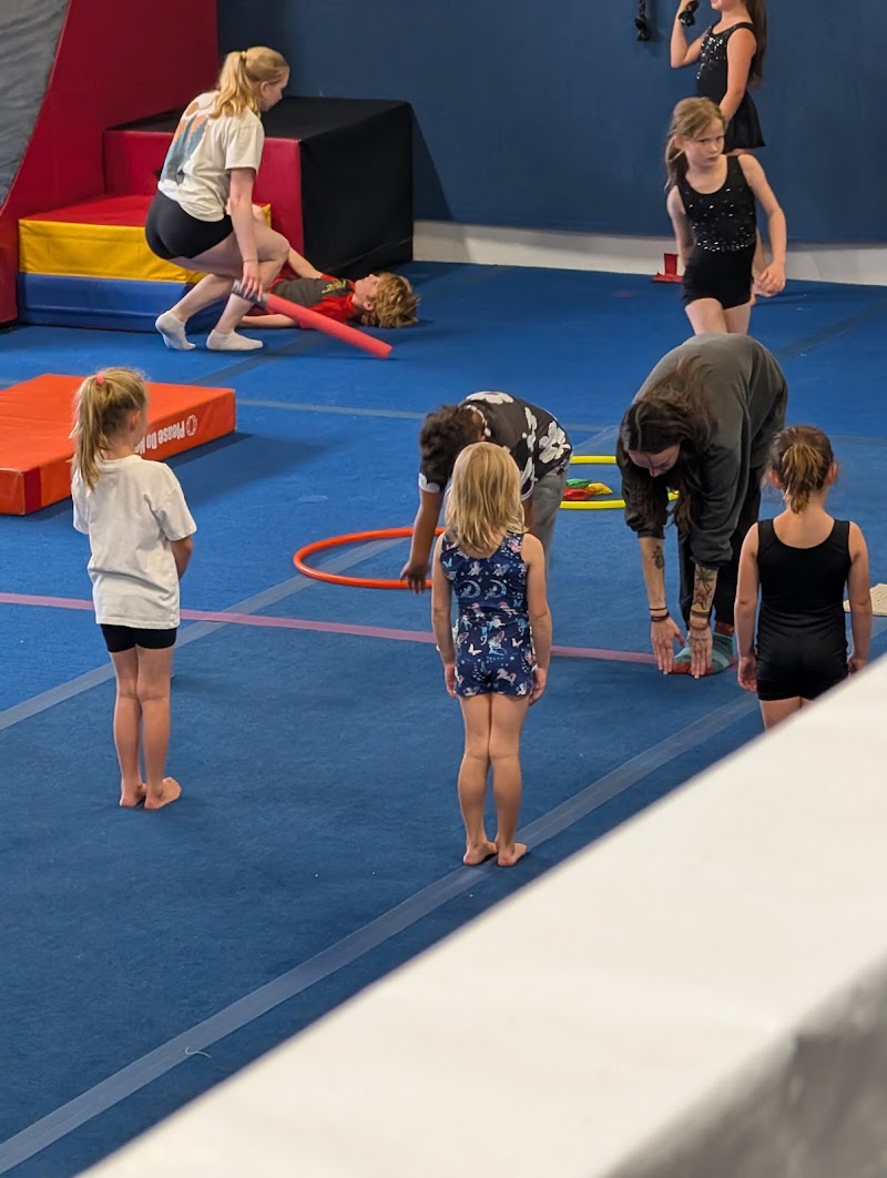 Roots Gymnastics photo 1