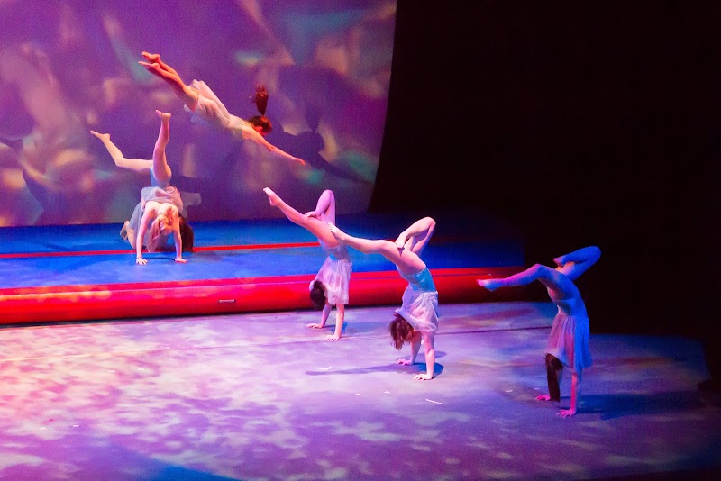 Roots Gymnastics photo 2