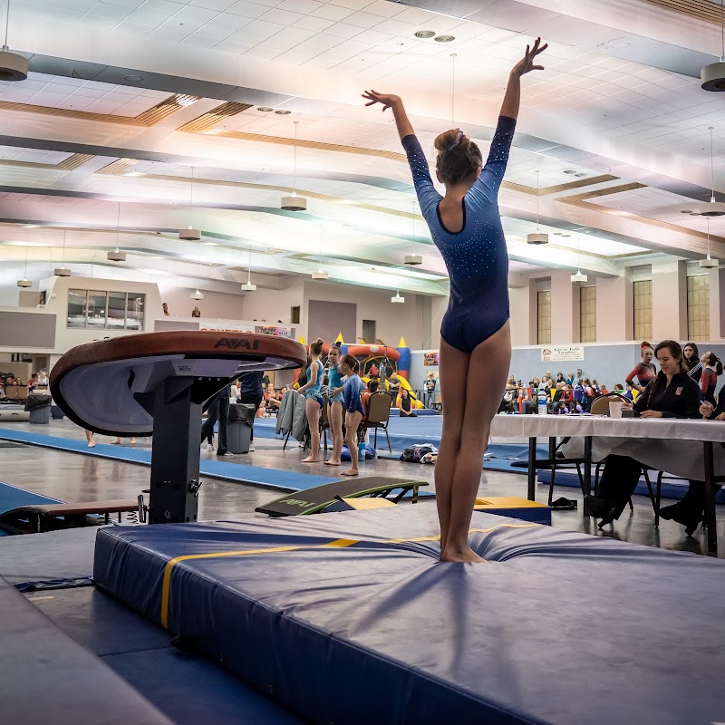 Roots Gymnastics photo 3