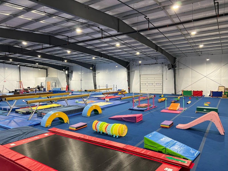 Main Line Gymnastics photo 2