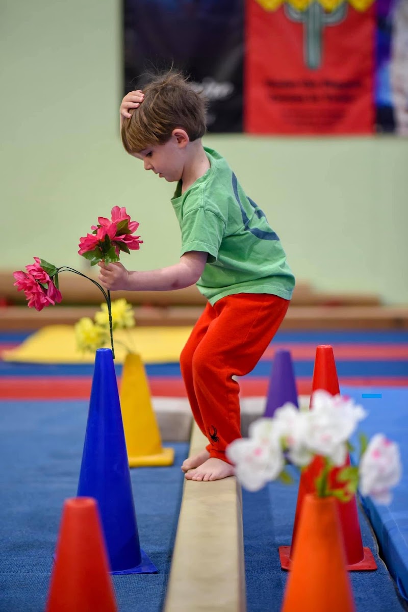 Mountain Brook Gymnastics photo 2