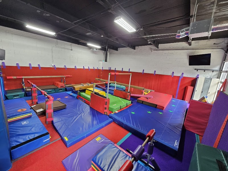 Phoenix Gymnastics NYC
