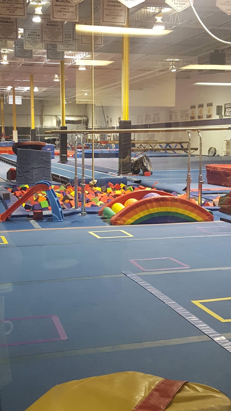 All Pro Gymnastics and Cheer Academy photo 2