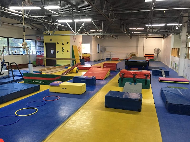 Precision Gymnastics Inc.