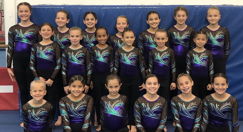 Academy of Gymnastics Inc