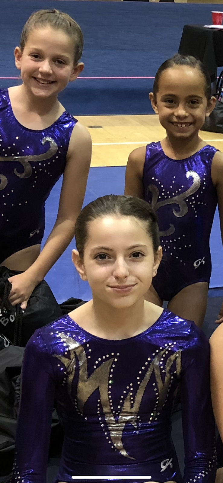 Academy of Gymnastics Inc photo 2