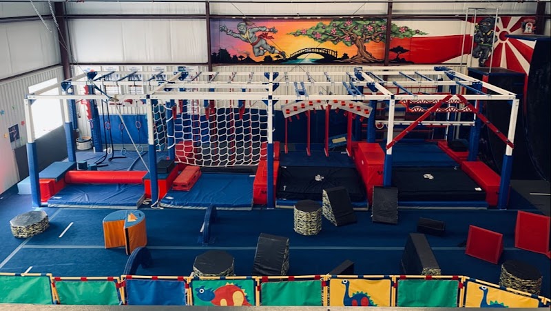 First State Gymnastics photo 2