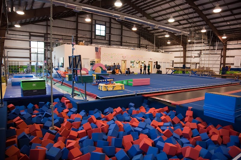Bright Stars Gymnastics