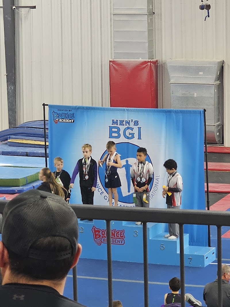 Trampoline and Tumbling Express photo 2