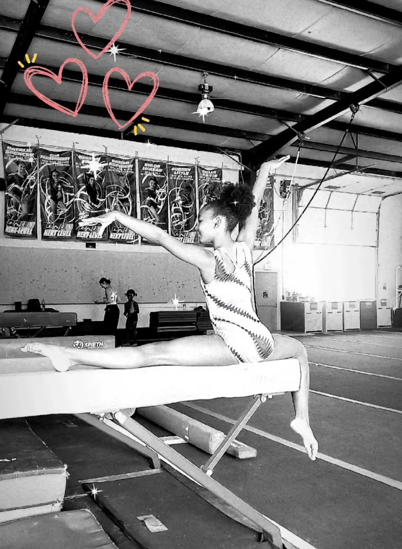 Next Level Gymnastics Academy photo 2