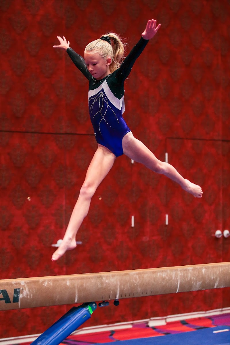 Shrewsbury Gymnastics photo 3