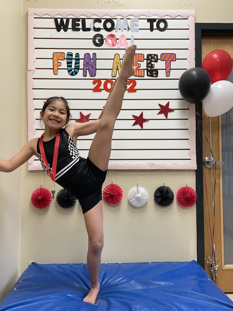 Georgia Gymnastics Academy Inc.