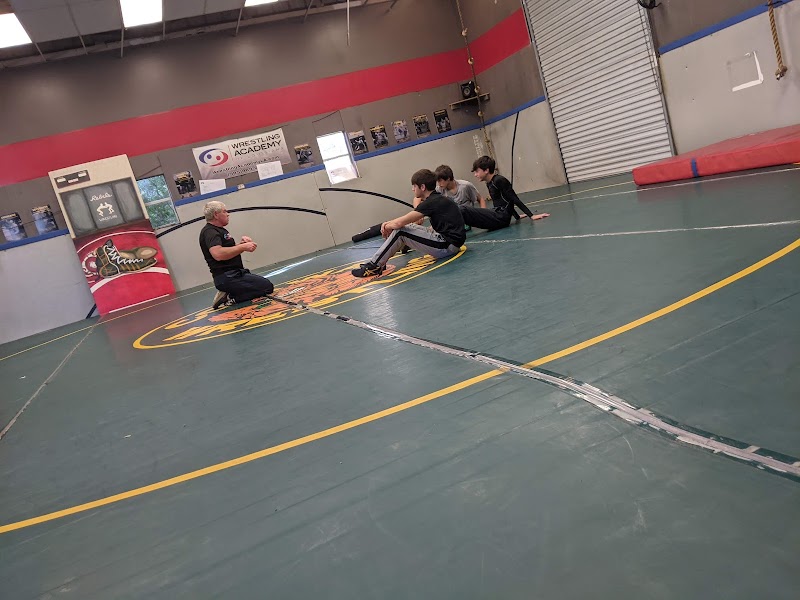 Mandeville Gymnastics Academy photo 3