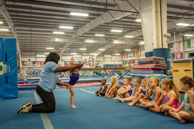 Sonshine Gymnastics photo 2