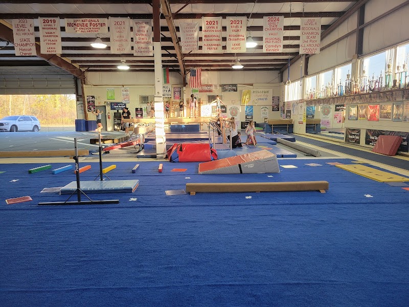Devlin Gymnastics photo 2