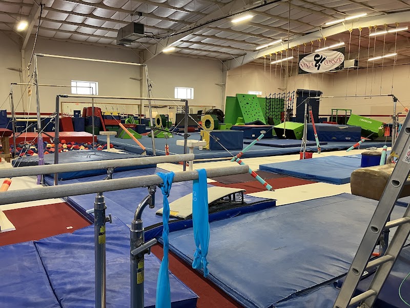 Brown's Gym Orbit Sports Academy photo 2