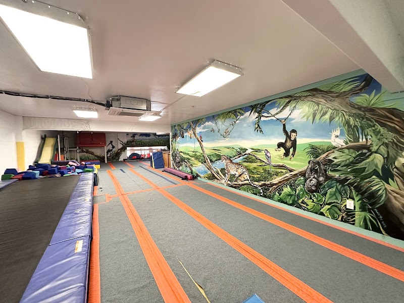 Elite Gymnastics Academy