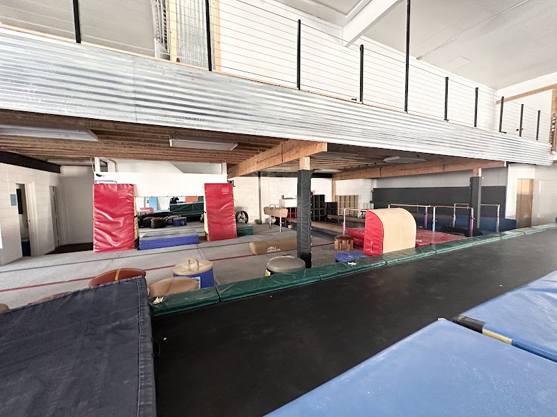 Elite Gymnastics Academy photo 3