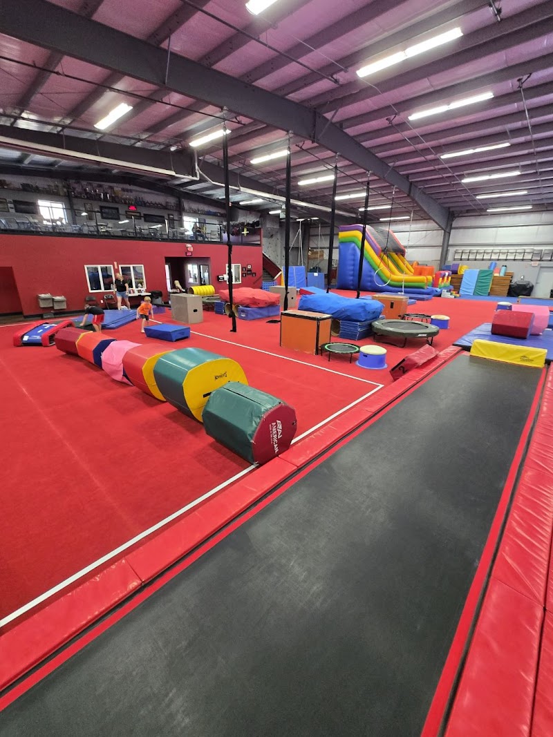 360 Gymnastics and Cheer photo 2