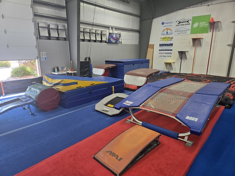 360 Gymnastics and Cheer photo 3