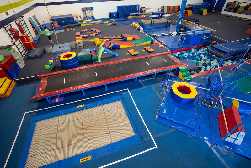 Alpha Gymnastics