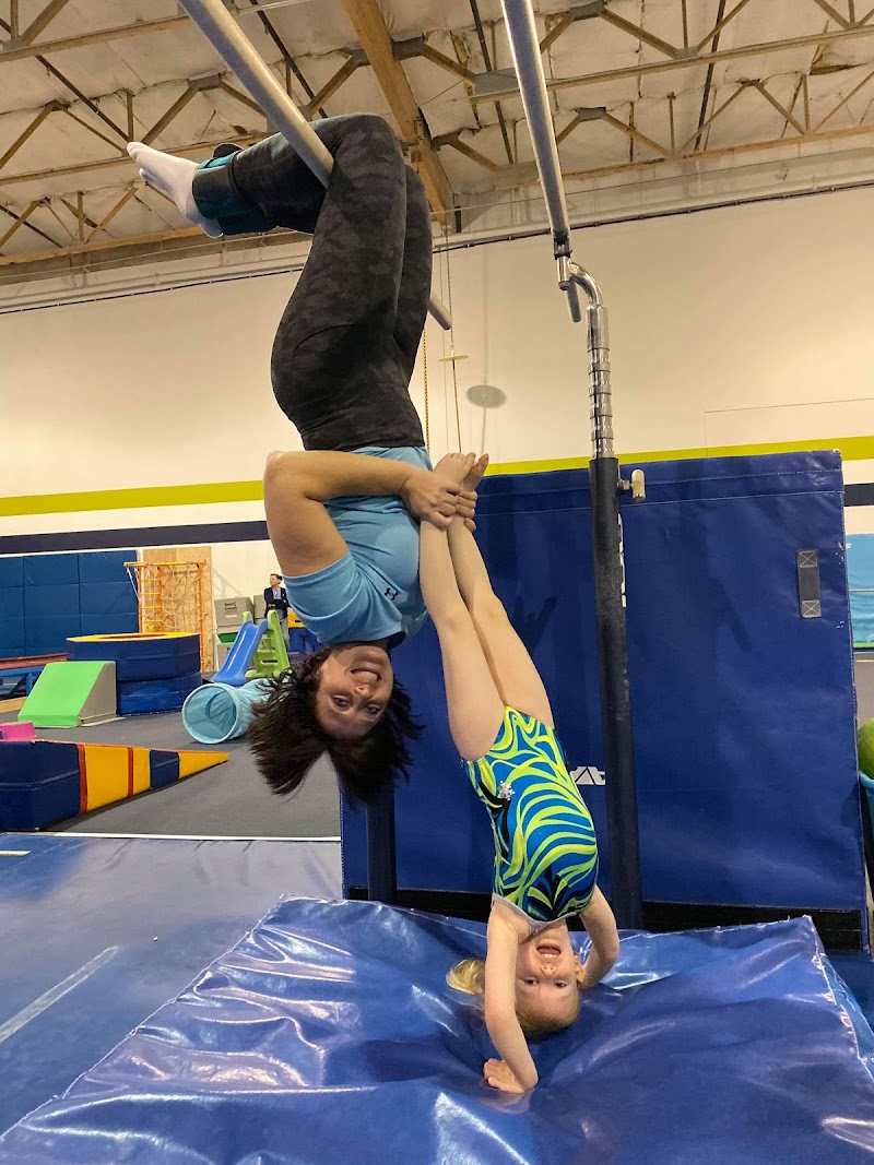 Alpha Gymnastics photo 3