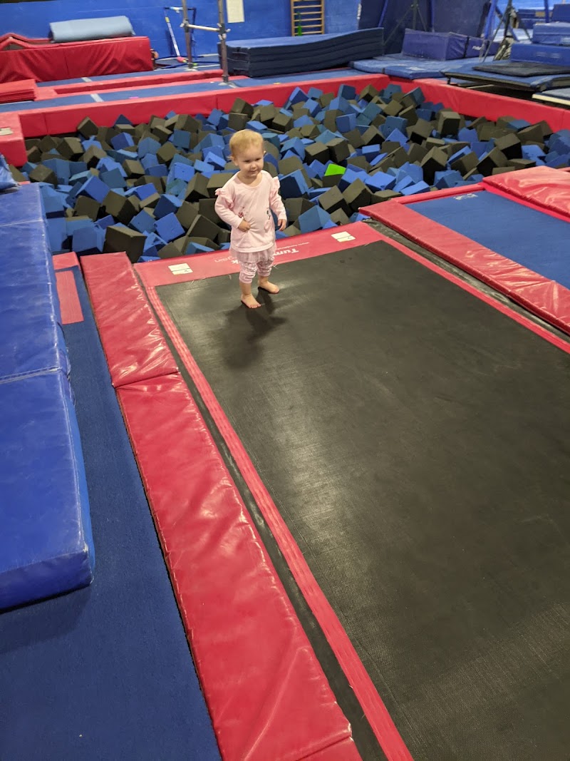 A2 Gym and Cheer LLC photo 2
